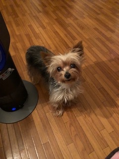 〒000−0000
さいたま市大宮区
