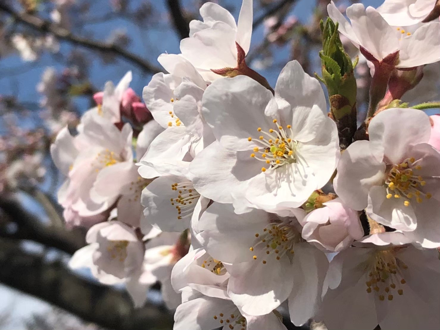 ターニングポイント