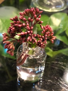 りゅうこの部屋